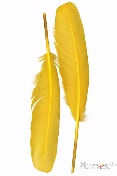 Cigno seta - 25-30 cm - giallo
